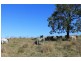 Lot 9 Blackhorse Creek Road, Kyogle NSW 2474