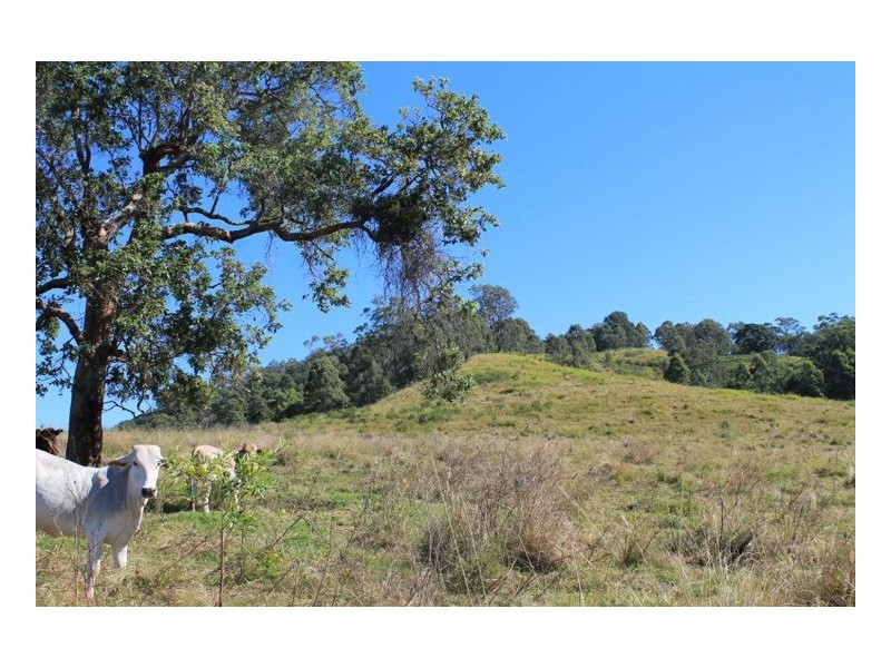 Lot 9 Blackhorse Creek Road, Kyogle NSW 2474
