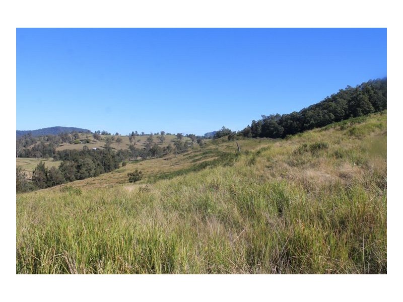 Lot 9 Blackhorse Creek Road, Kyogle NSW 2474