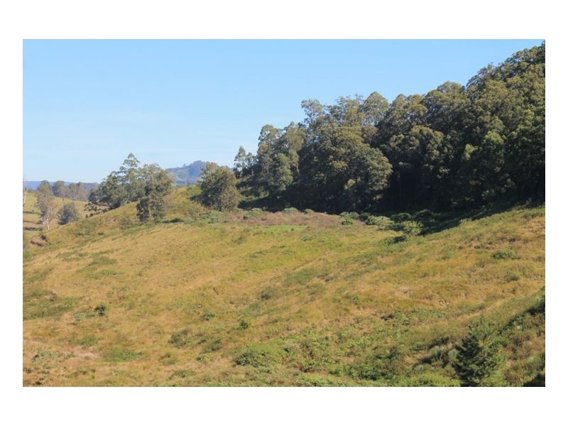 Lot 9 Blackhorse Creek Road, Kyogle NSW 2474