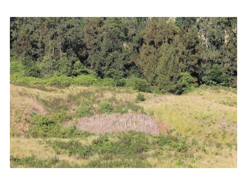Lot 9 Blackhorse Creek Road, Kyogle NSW 2474