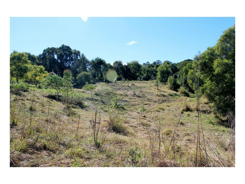 265 Tuntable Falls Road, Nimbin NSW 2480