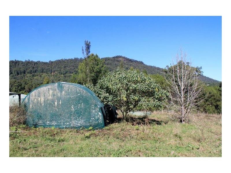 265 Tuntable Falls Road, Nimbin NSW 2480