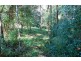 265 Tuntable Falls Road, Nimbin NSW 2480