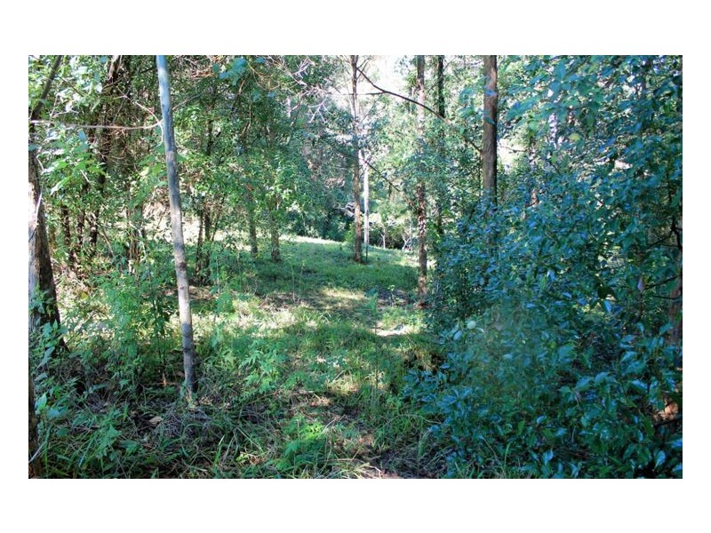 265 Tuntable Falls Road, Nimbin NSW 2480