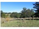 265 Tuntable Falls Road, Nimbin NSW 2480