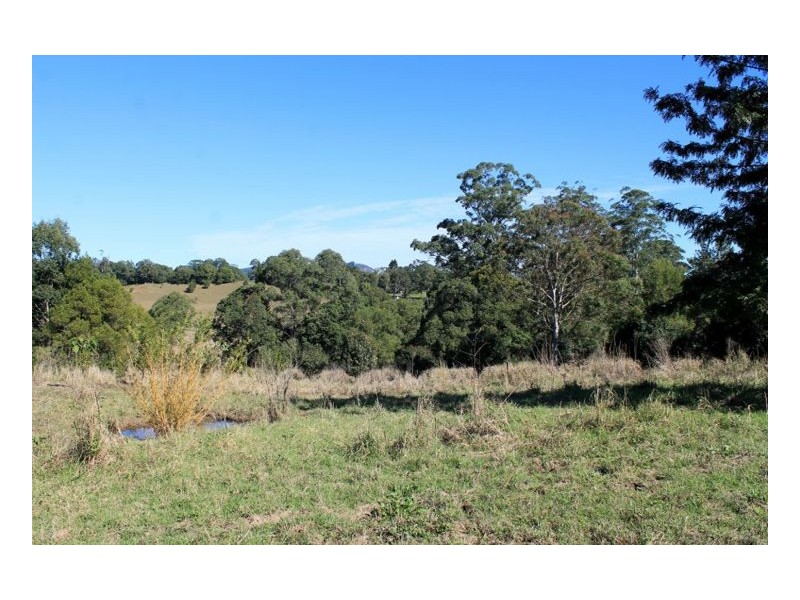 265 Tuntable Falls Road, Nimbin NSW 2480