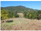 265 Tuntable Falls Road, Nimbin NSW 2480