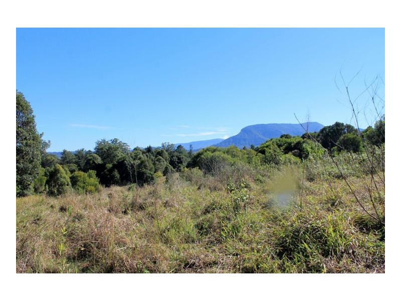 265 Tuntable Falls Road, Nimbin NSW 2480