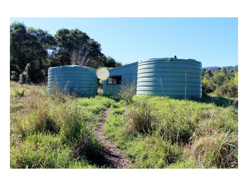 265 Tuntable Falls Road, Nimbin NSW 2480