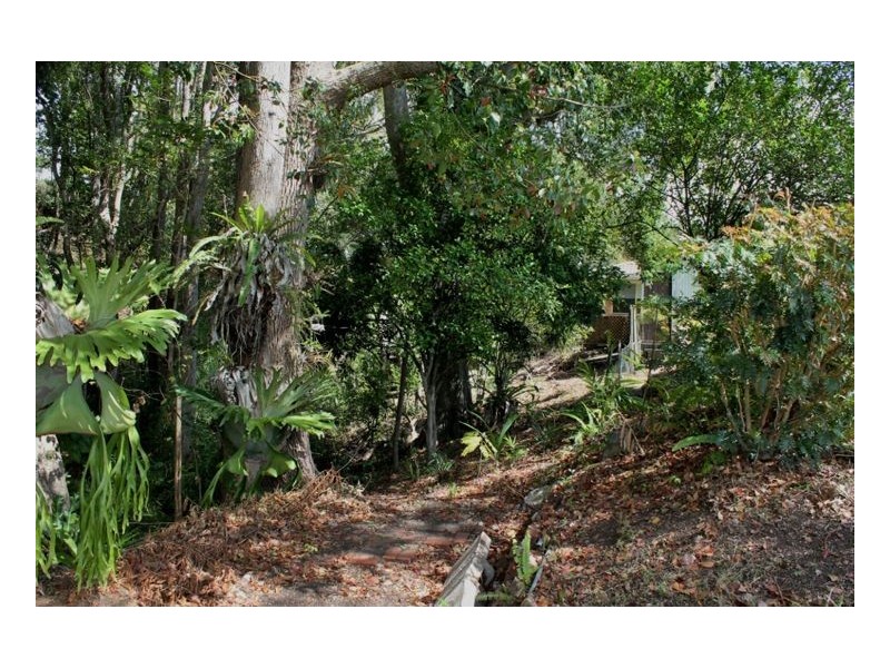 35 Kyogle Road, Kyogle NSW 2474