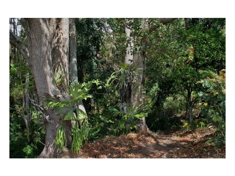 35 Kyogle Road, Kyogle NSW 2474