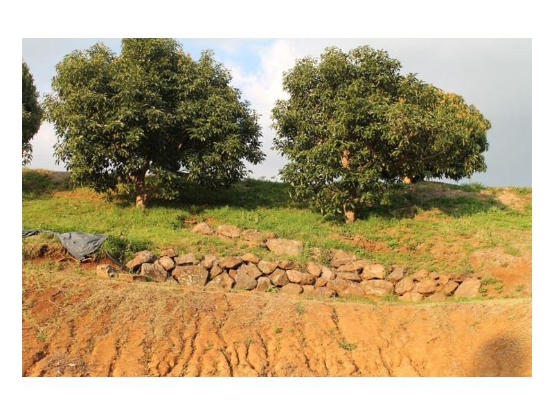 18 Morphett Street, Kyogle NSW 2474