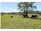 109 Apple Gum Road, Kyogle NSW 2474