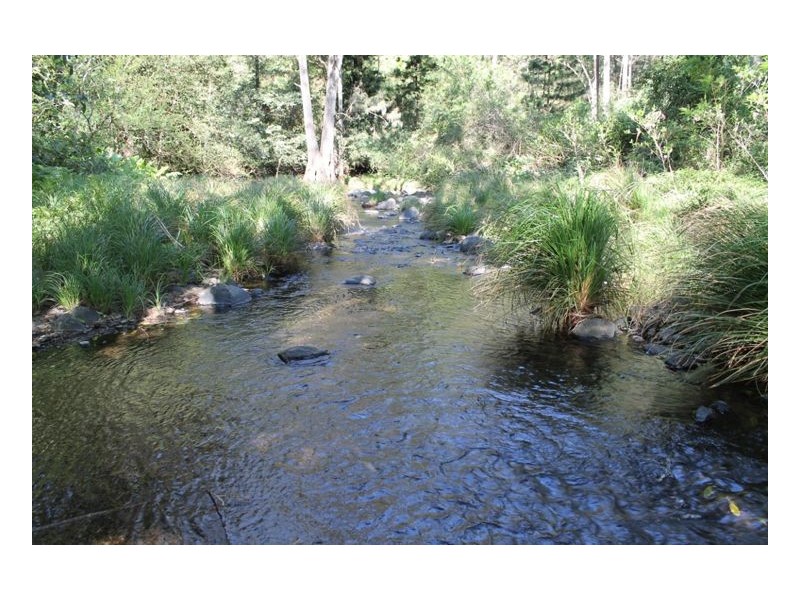 990 Horseshoe Creek Road, Kyogle NSW 2474