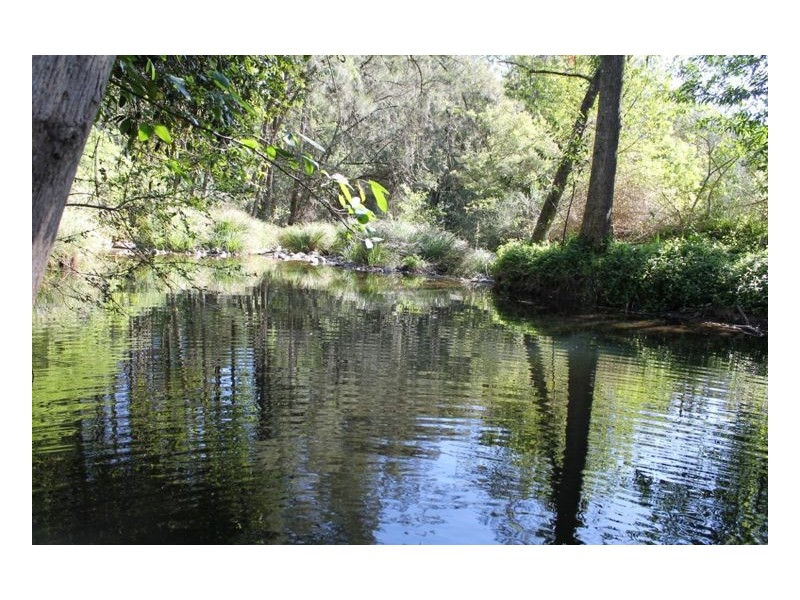 990 Horseshoe Creek Road, Kyogle NSW 2474