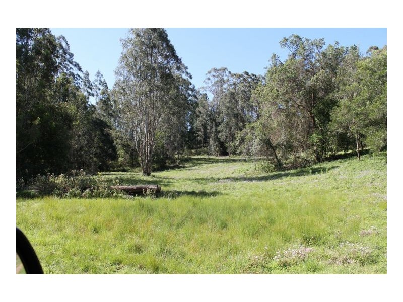 990 Horseshoe Creek Road, Kyogle NSW 2474