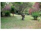 146 Newtons Road, Kyogle NSW 2474