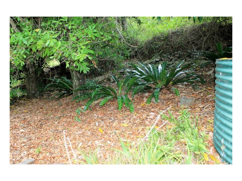 146 Newtons Road, Kyogle NSW 2474