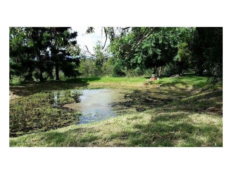 146 Newtons Road, Kyogle NSW 2474