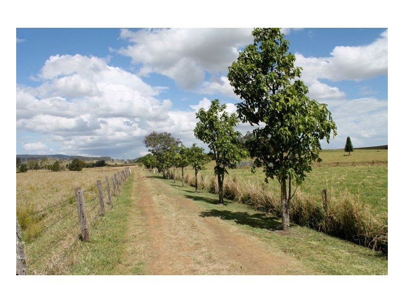 12568 Summerland Way, Cedar Point, Kyogle NSW 2474
