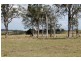 12568 Summerland Way, Cedar Point, Kyogle NSW 2474