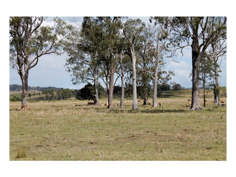 12568 Summerland Way, Cedar Point, Kyogle NSW 2474