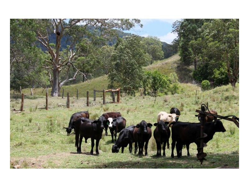 Smiths Creek Road, Kyogle NSW 2474
