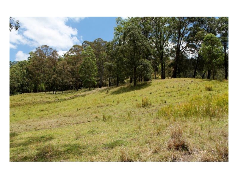 Smiths Creek Road, Kyogle NSW 2474