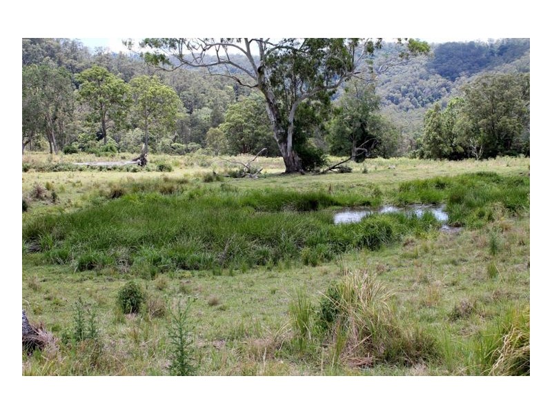 Smiths Creek Road, Kyogle NSW 2474
