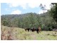 Smiths Creek Road, Kyogle NSW 2474