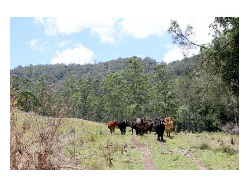 Smiths Creek Road, Kyogle NSW 2474
