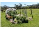 #280 Lindsay Creek Road, Woodenbong NSW 2476