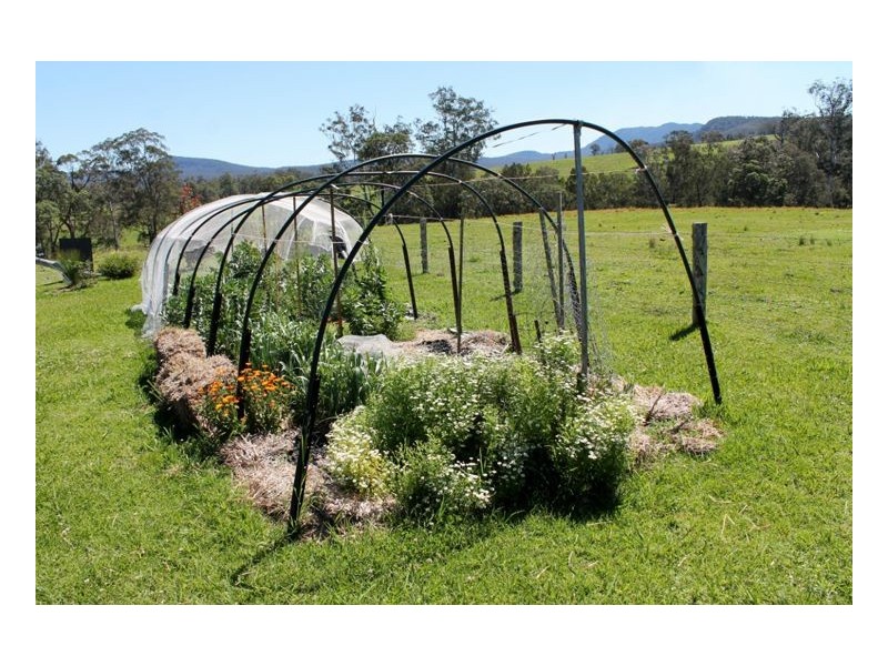 #280 Lindsay Creek Road, Woodenbong NSW 2476