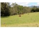 Lot 12 Summerland Way, Cedar Point, Kyogle NSW 2474