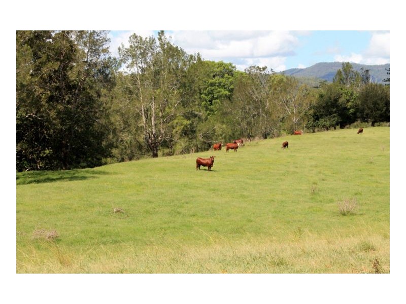 Lot 12 Summerland Way, Cedar Point, Kyogle NSW 2474