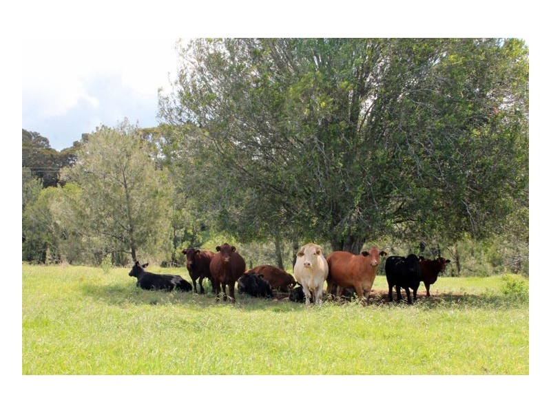 Lot 12 Summerland Way, Cedar Point, Kyogle NSW 2474