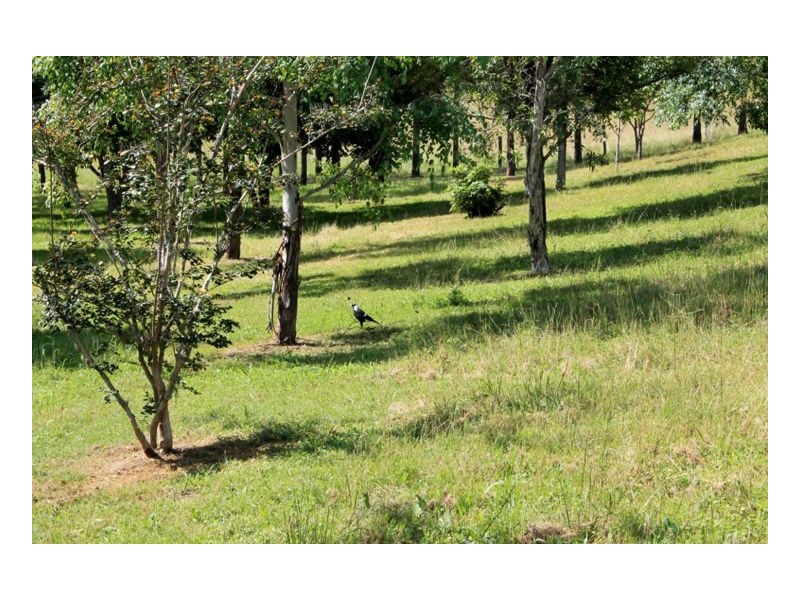 37 Durhams Road, Cedar Point, Kyogle NSW 2474