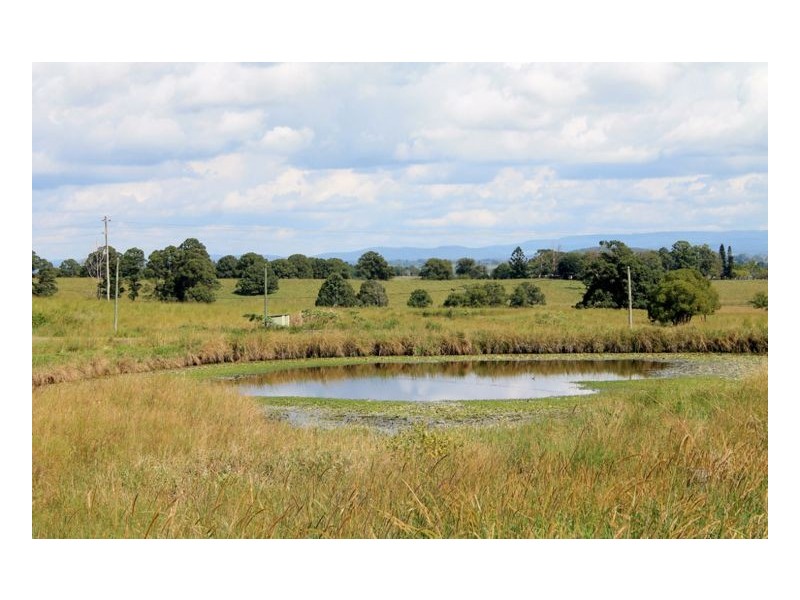 37 Durhams Road, Cedar Point, Kyogle NSW 2474