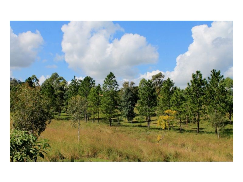 37 Durhams Road, Cedar Point, Kyogle NSW 2474