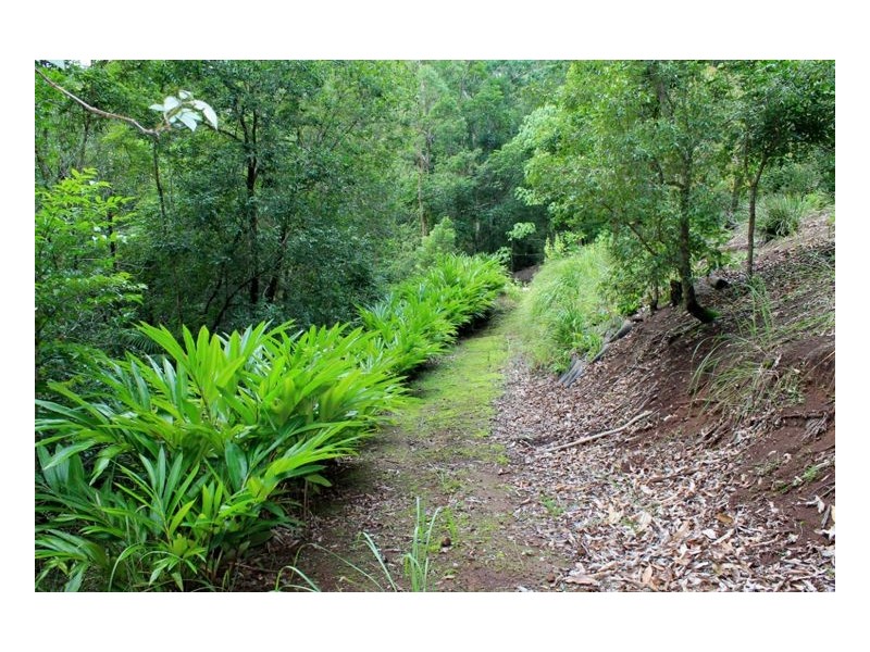 -1 Gesar Springs – Collins Creek, Kyogle NSW 2474