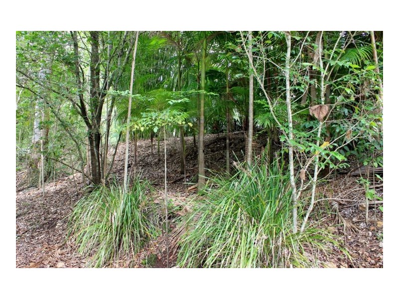 -1 Gesar Springs – Collins Creek, Kyogle NSW 2474