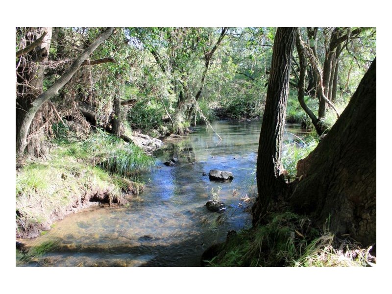 214 Homeleigh Road, Homeleigh, Kyogle NSW 2474