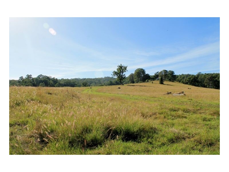 214 Homeleigh Road, Homeleigh, Kyogle NSW 2474