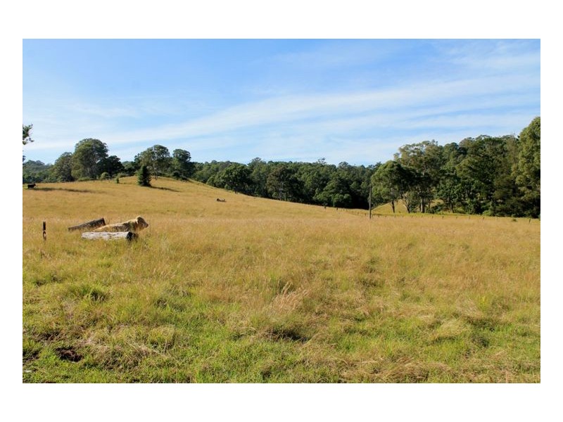 214 Homeleigh Road, Homeleigh, Kyogle NSW 2474