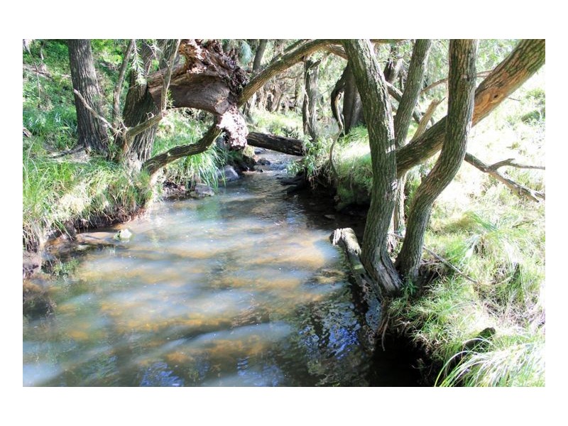 214 Homeleigh Road, Homeleigh, Kyogle NSW 2474