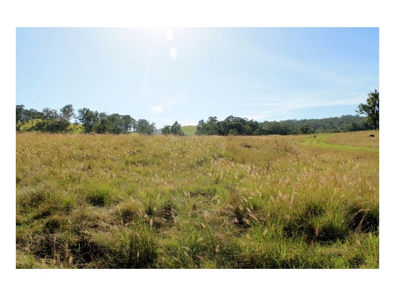 214 Homeleigh Road, Homeleigh, Kyogle NSW 2474