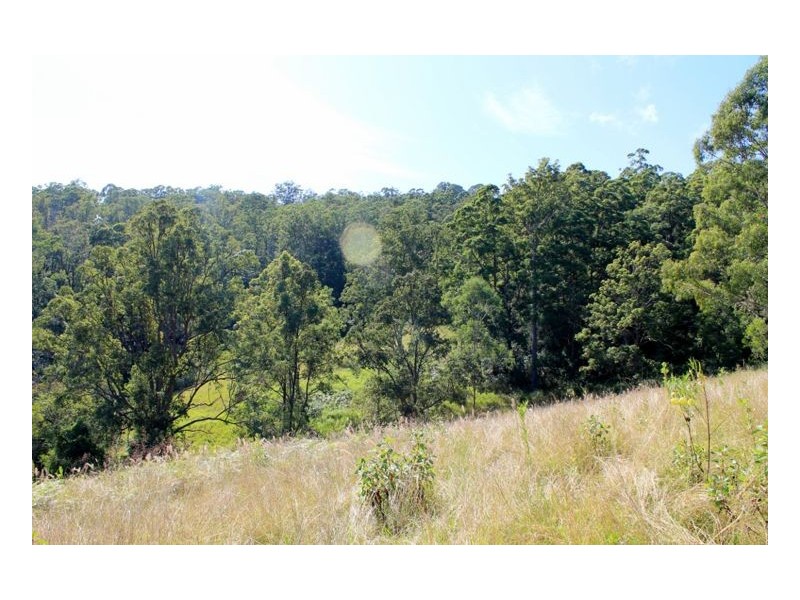 214 Homeleigh Road, Homeleigh, Kyogle NSW 2474