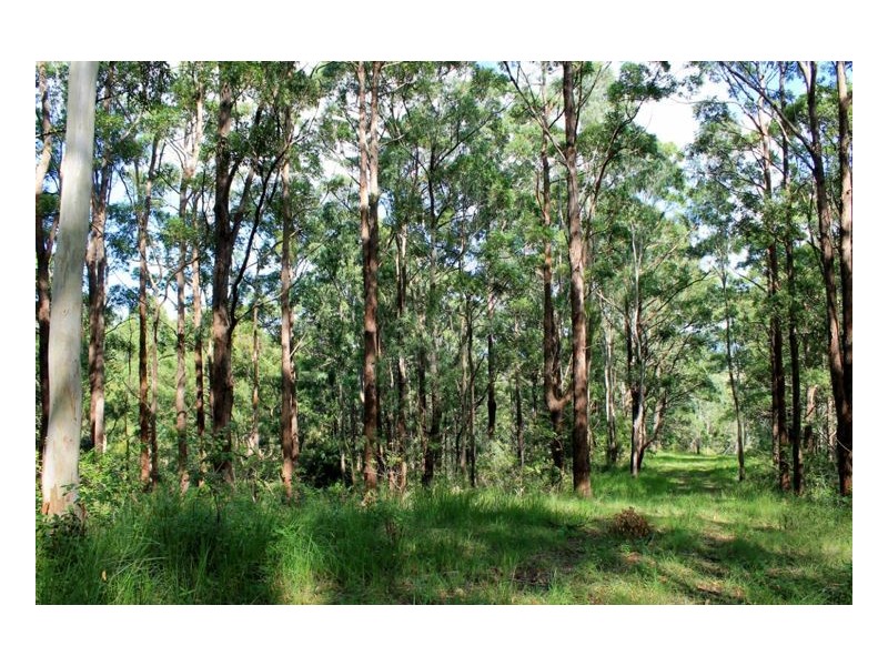 214 Homeleigh Road, Homeleigh, Kyogle NSW 2474