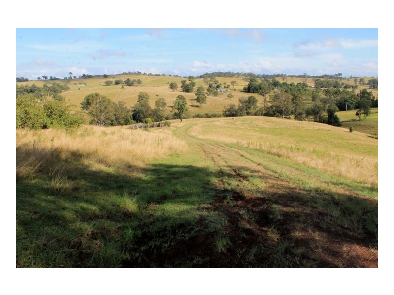 214 Homeleigh Road, Homeleigh, Kyogle NSW 2474